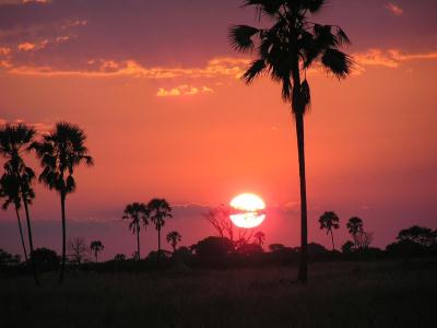 040621 midsummer in africa - one last beautiful sunset
